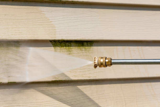 Best Exterior Home Cleaning  in Homosassa Springs, FL