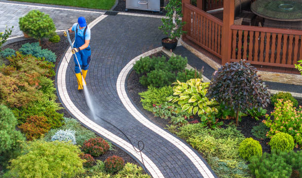 Best Fence Pressure Washing  in Homosassa Springs, FL