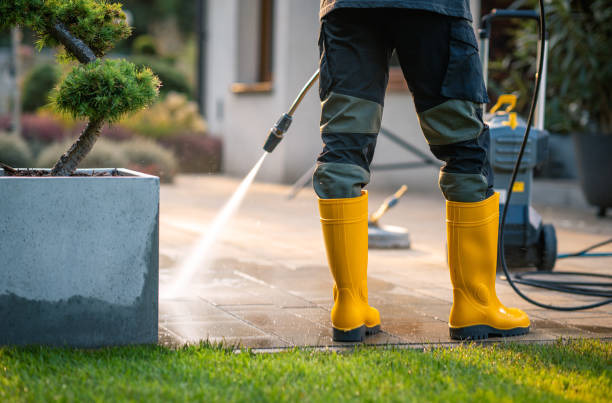 Best Fence Pressure Washing  in Homosassa Springs, FL